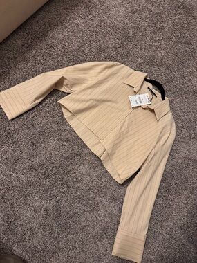 Zara Cropped Pinstripe Shirt